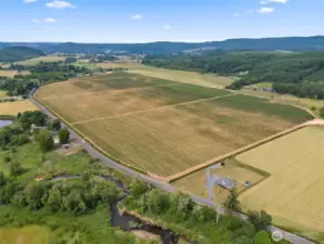Neighboring Organic Blueberry Farm