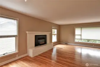 gas fireplace