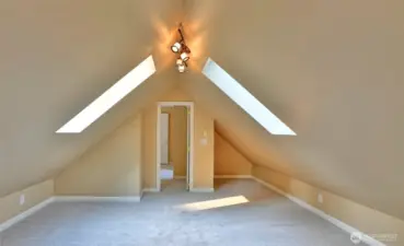 skylights