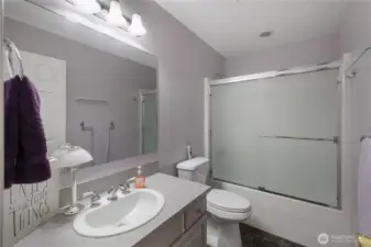 Guest bathroom.