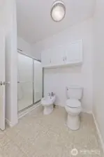 Primary bathroom with step-in shower in addition to the claw-foot tub. And a BIDET!