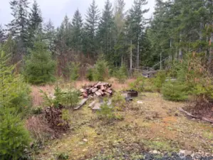 View from the front porch of the tiny cabin.