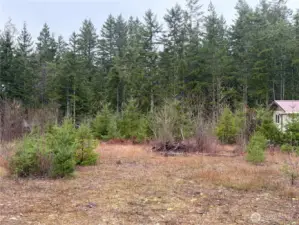 Level useable property!