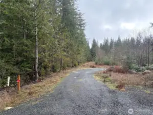 Entry into property with established gravel driveway into property.