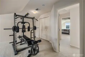 Exercise room or spacious bedroom