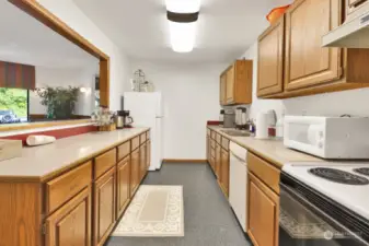 Recreation Room Kitchen