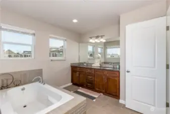 Primary bathroom with large soaking tub.