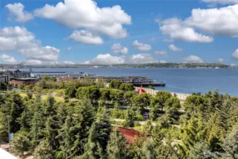 Roof Top view of Elliott Bay.