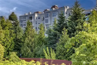 Looking back at the Alexandria Condominium building.