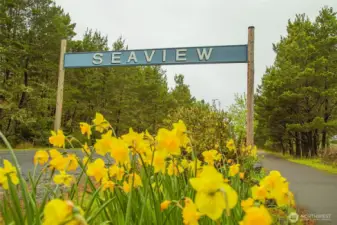 Seaview Beach approach is just a walk away!