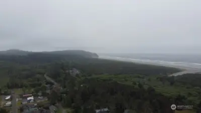 walk to the Mighty Pacific