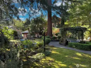 Front yard is serene and beautifully landscaped