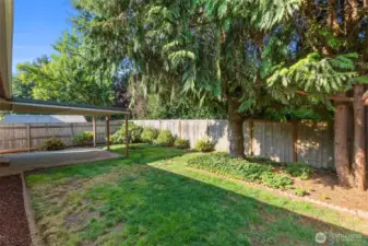 Not too bid and not too small, the backyard is a great space for relaxing, rain or shine with the covered patio.