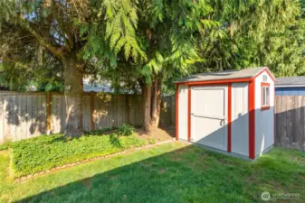 The backyard featuring mature trees and this clean and nicely sized shed.