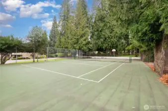Low dues cover tennis court