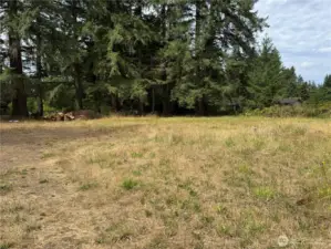 Property and trees looking towards the road