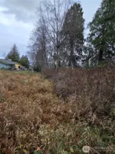 Looking North from lot