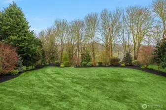 View from back of house, looking east