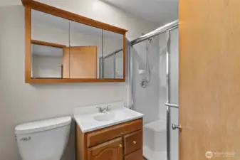Primary bathroom with shower insert