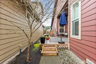 In the spring, these trees are so beautiful. This side yard is completely fenced and private.