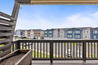 Mt Rainier Views(Not Pictured)